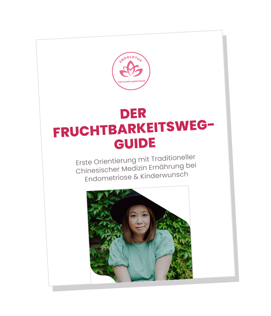 TCM Fruchtbarkeitsweg Guide Cover